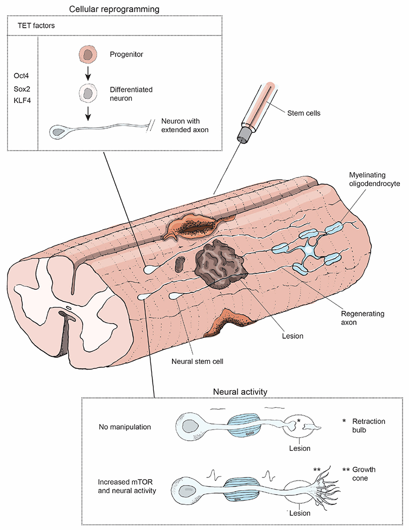 Figure 5: