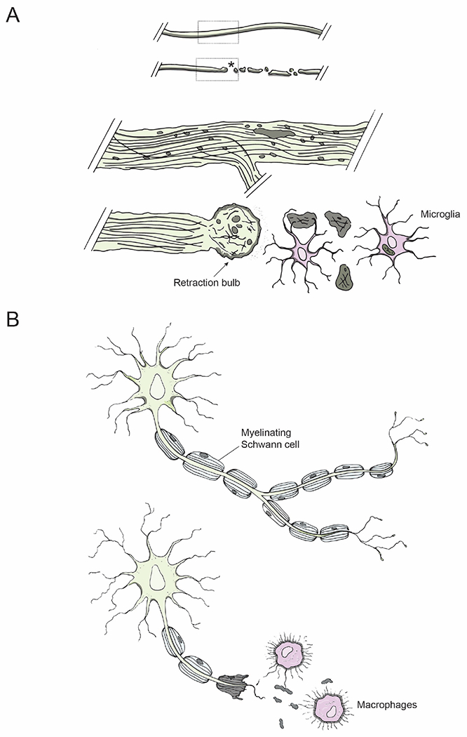 Figure 4: