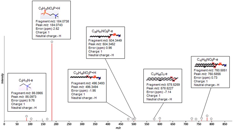 Fig 2