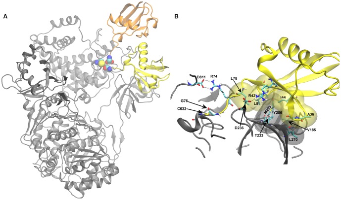 Figure 2