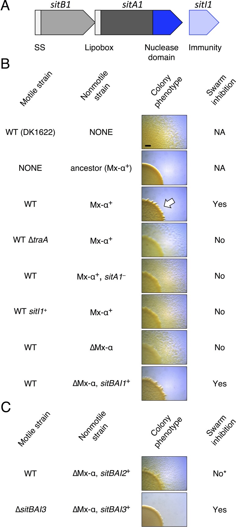 graphic file with name elife-37049-fig2.jpg