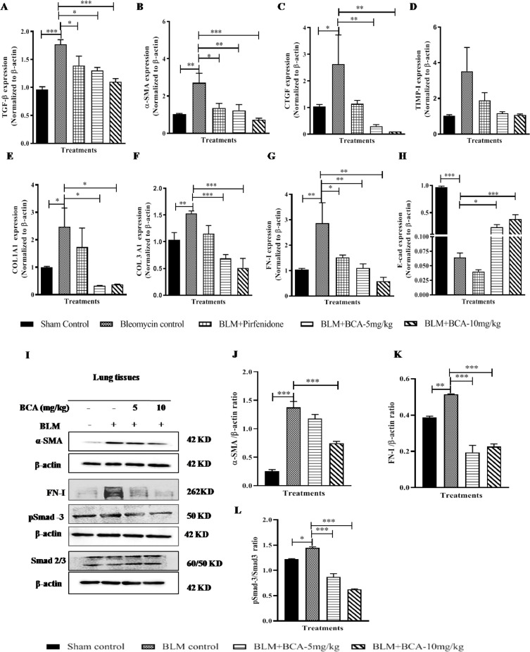 Fig 8