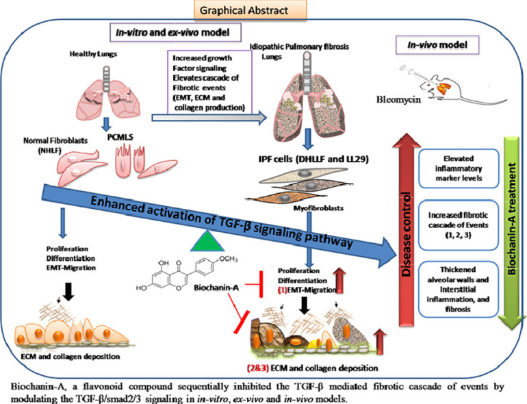 Image, graphical abstract