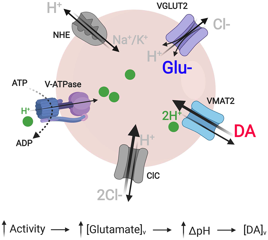 Figure 4.