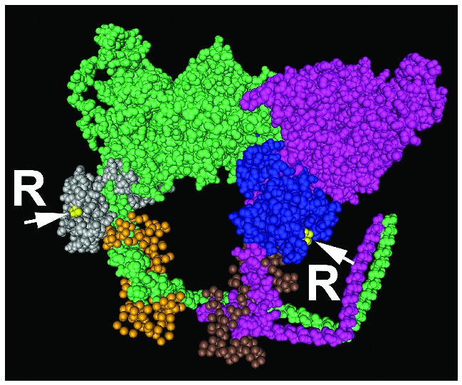 Figure 7.