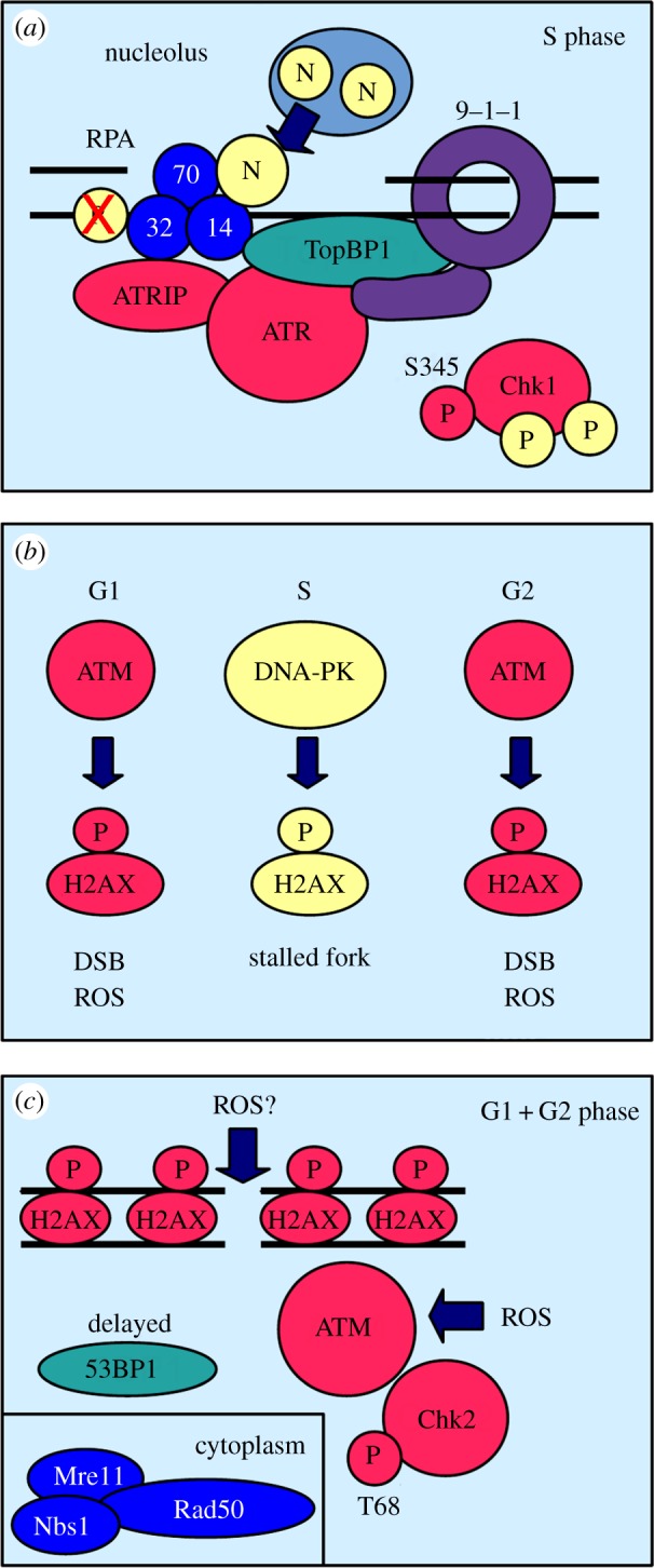 Figure 2.