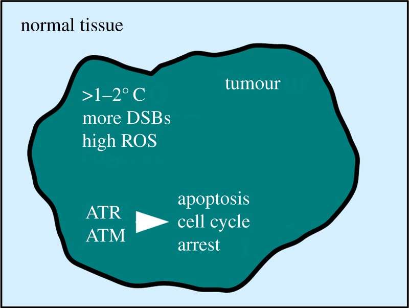 Figure 3.