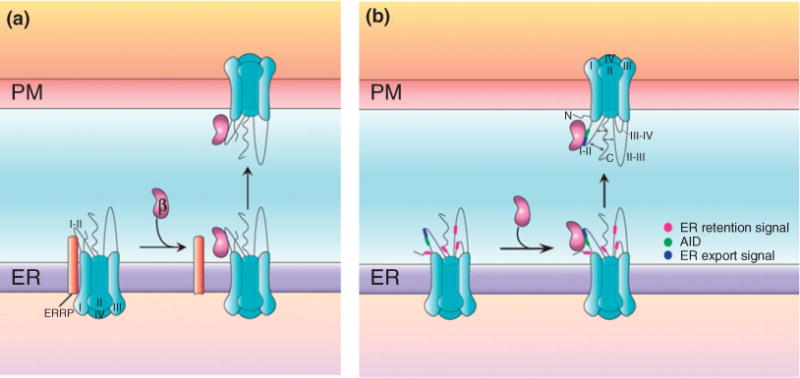 FIGURE 2