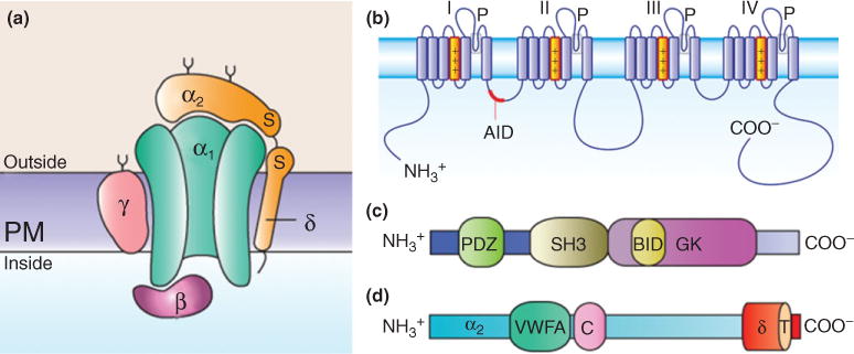 FIGURE 1