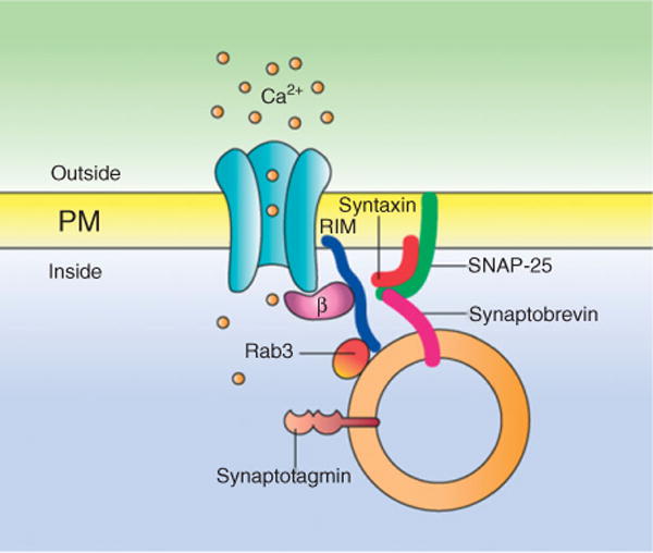 FIGURE 3