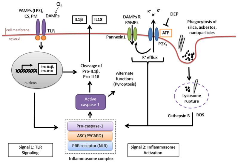 FIG 3