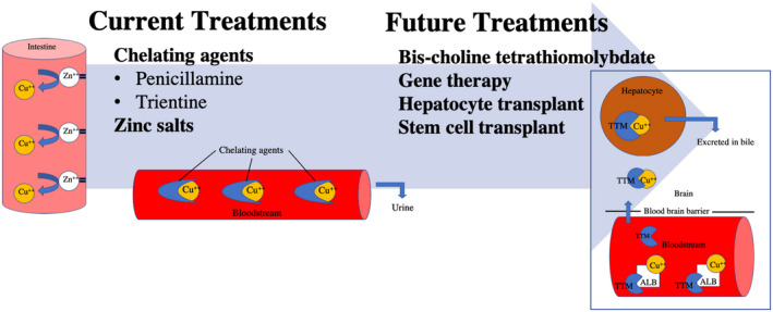 FIG 2