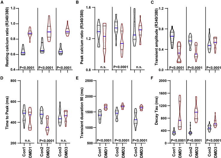 Figure 2