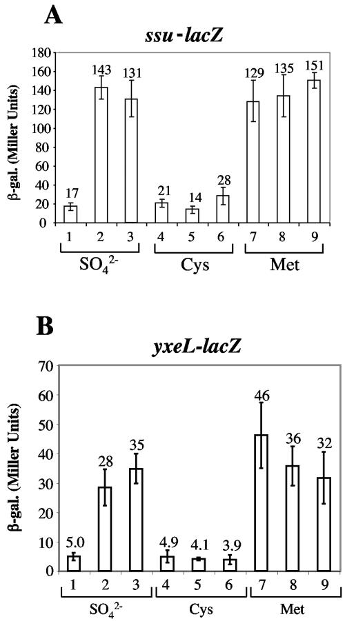 FIG. 5.