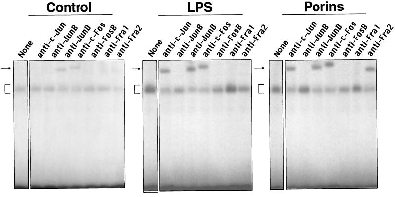 FIG. 9.