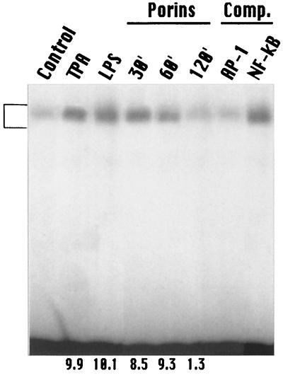 FIG. 5.