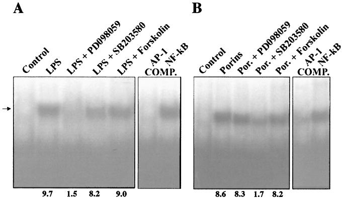 FIG. 10.