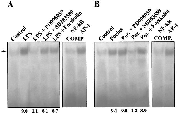 FIG. 11.