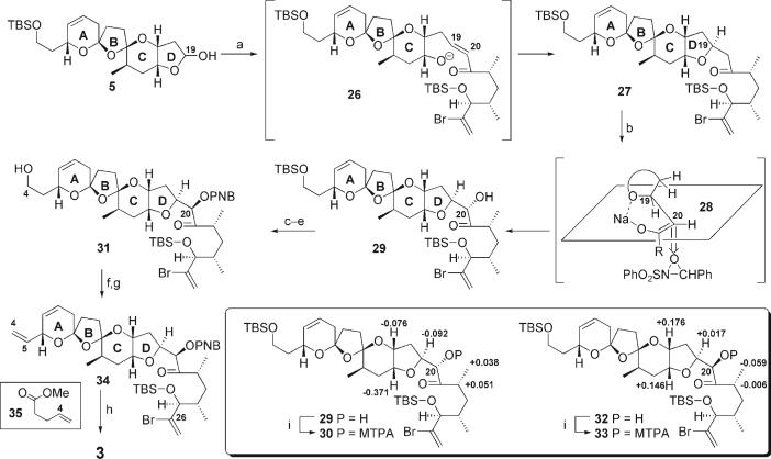 Scheme 5