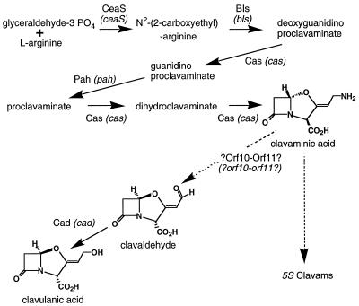 FIG. 1.