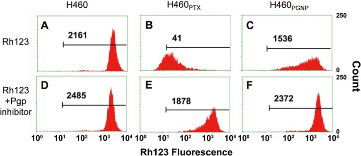 Fig 5