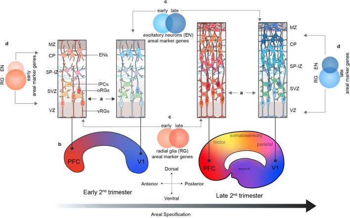 Extended Data Fig. 15