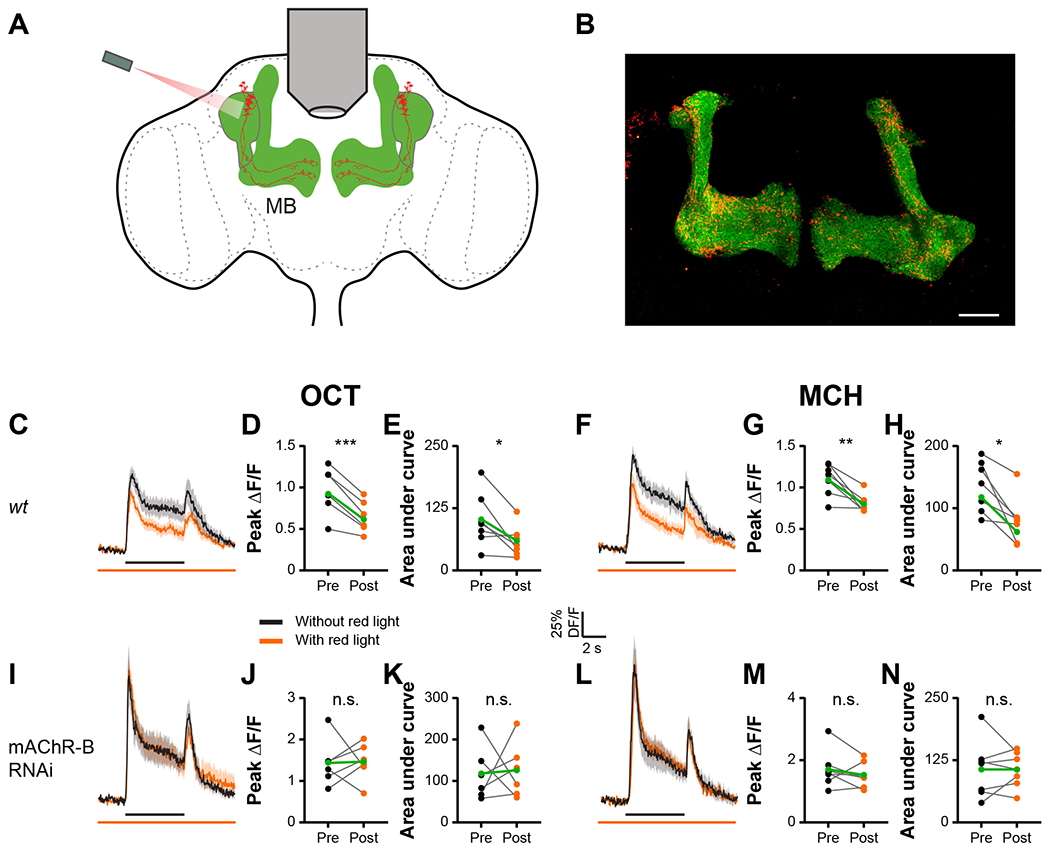 Figure 6: