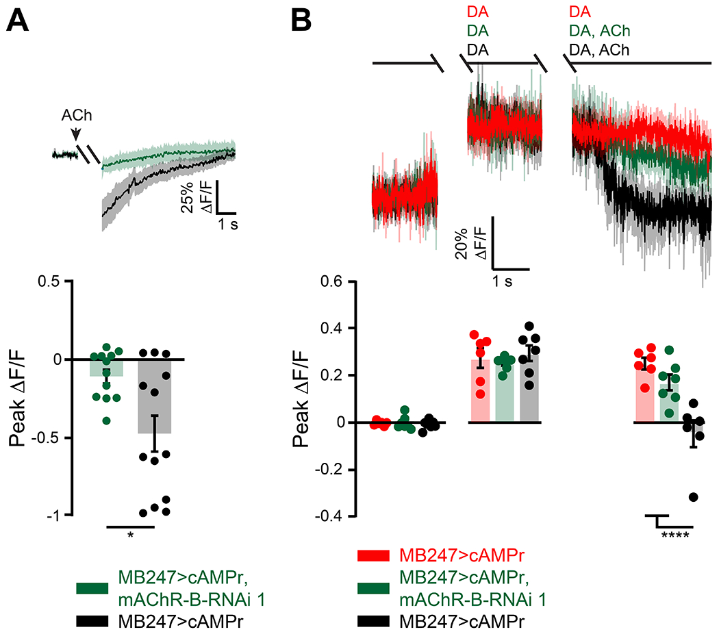 Figure 5: