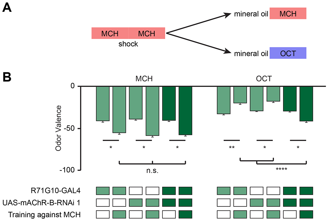 Figure 7: