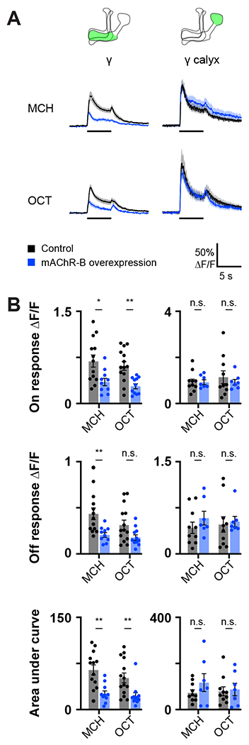 Figure 4: