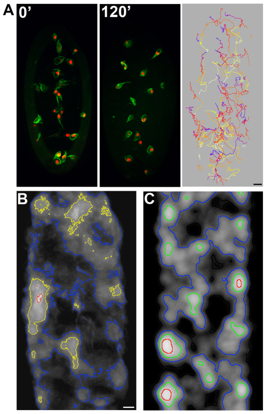 Fig. 4.