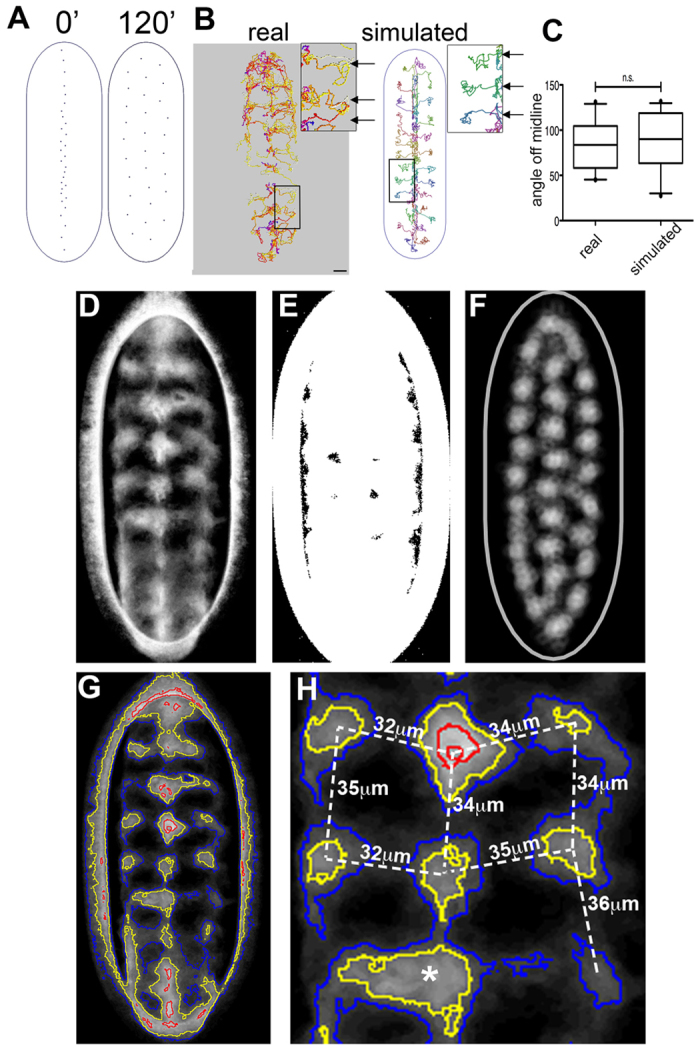 Fig. 3.