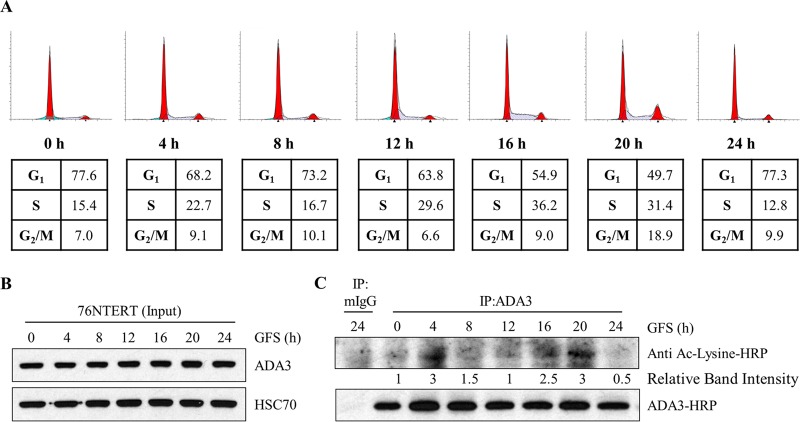 FIG 6