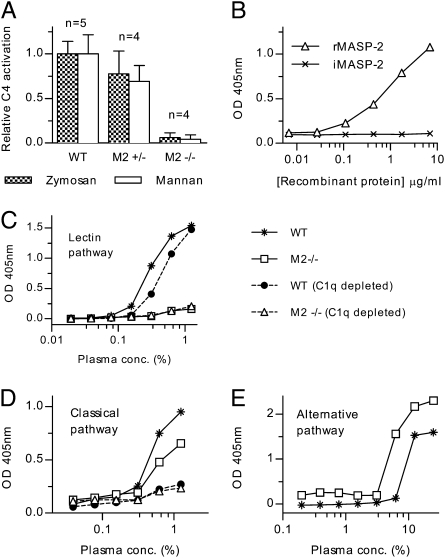 Targeting of mannan-binding lectin-associated serine protease-2 confers ...