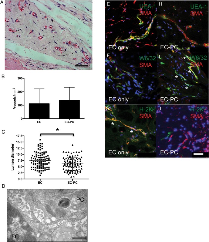 Figure 6