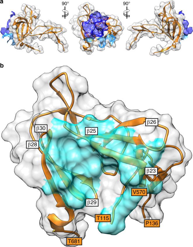 Fig. 7