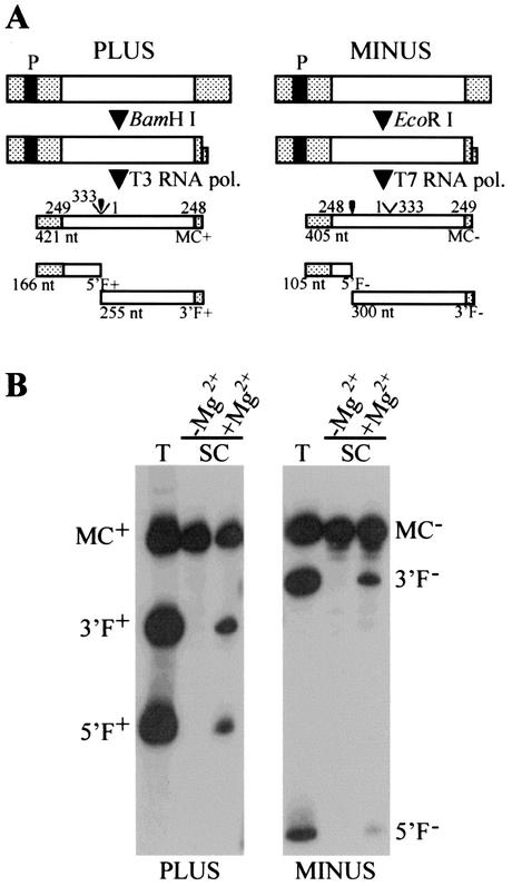 FIG. 4.