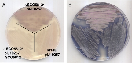 Fig. 7.