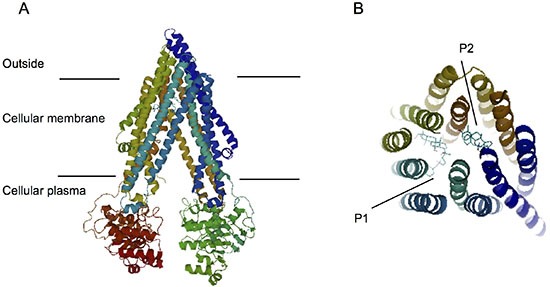 Figure 5