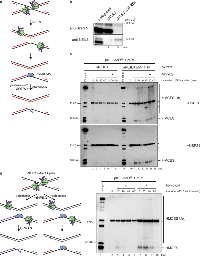 Fig. 6: