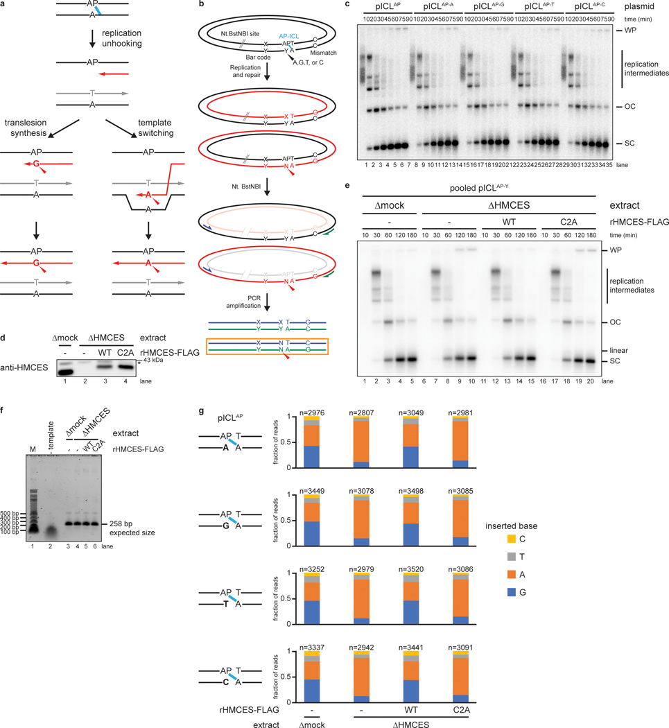 Extended Data Fig. 6