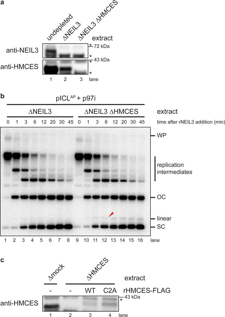 Extended Data Fig. 5