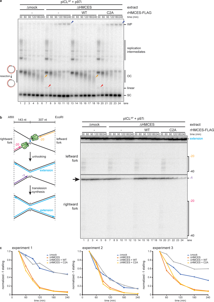 Fig. 4: