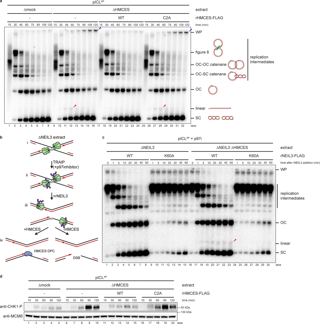 Fig. 2: