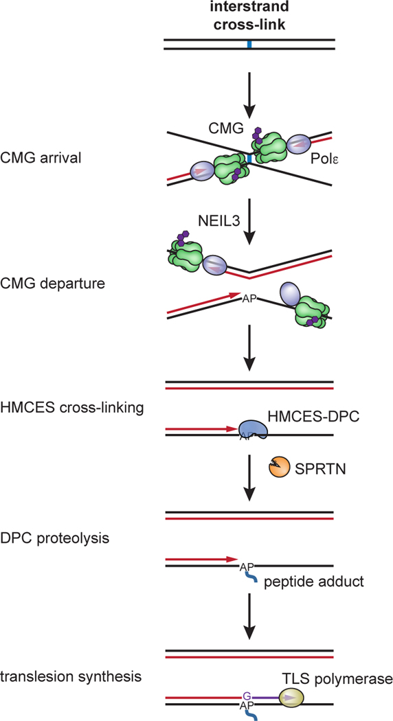 Fig. 7: