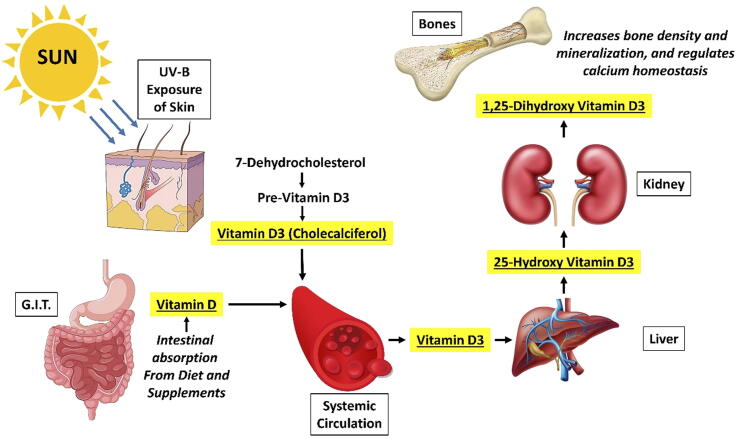 Fig. 1