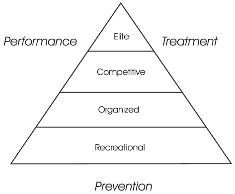 Figure 1)