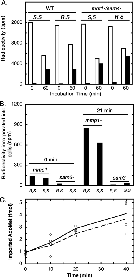 FIGURE 4.