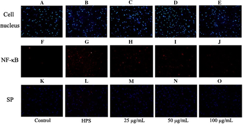 Figure 5