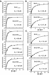 Figure 10.